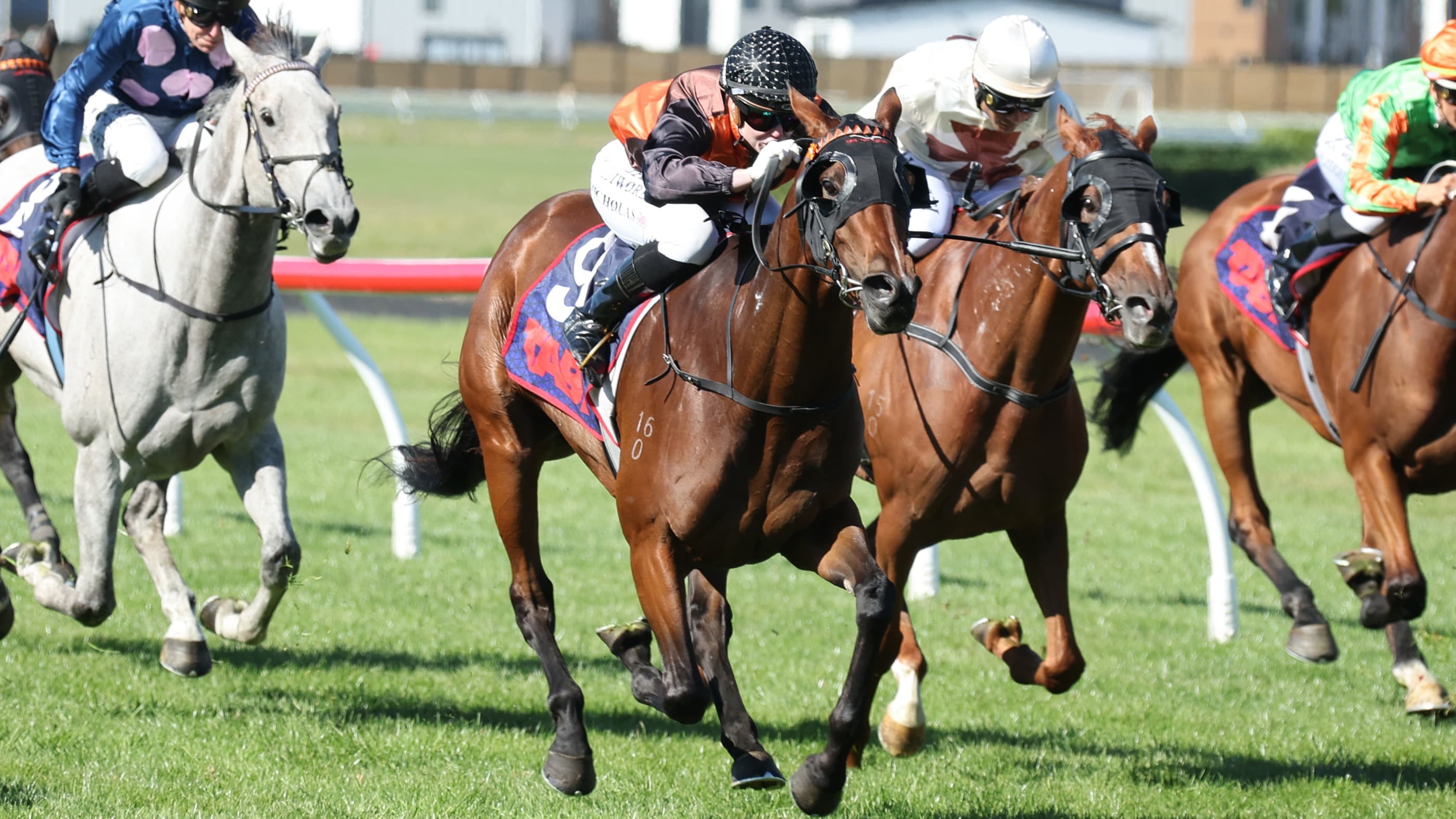 Latest Model struts her stuff in St Leger