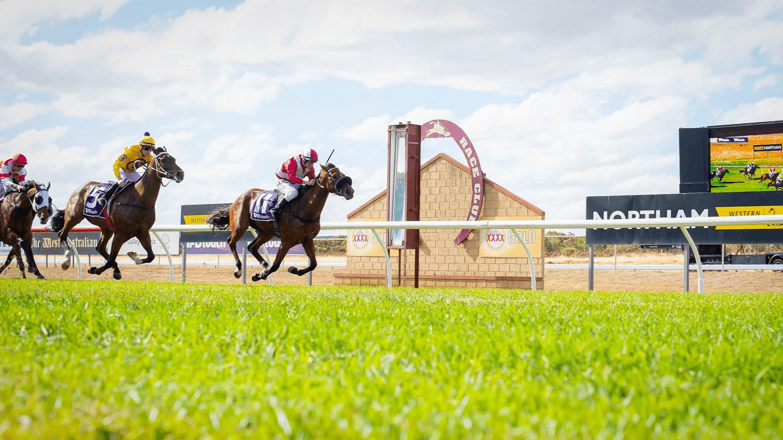 WA ring-in: How the infamous horse replacement happened