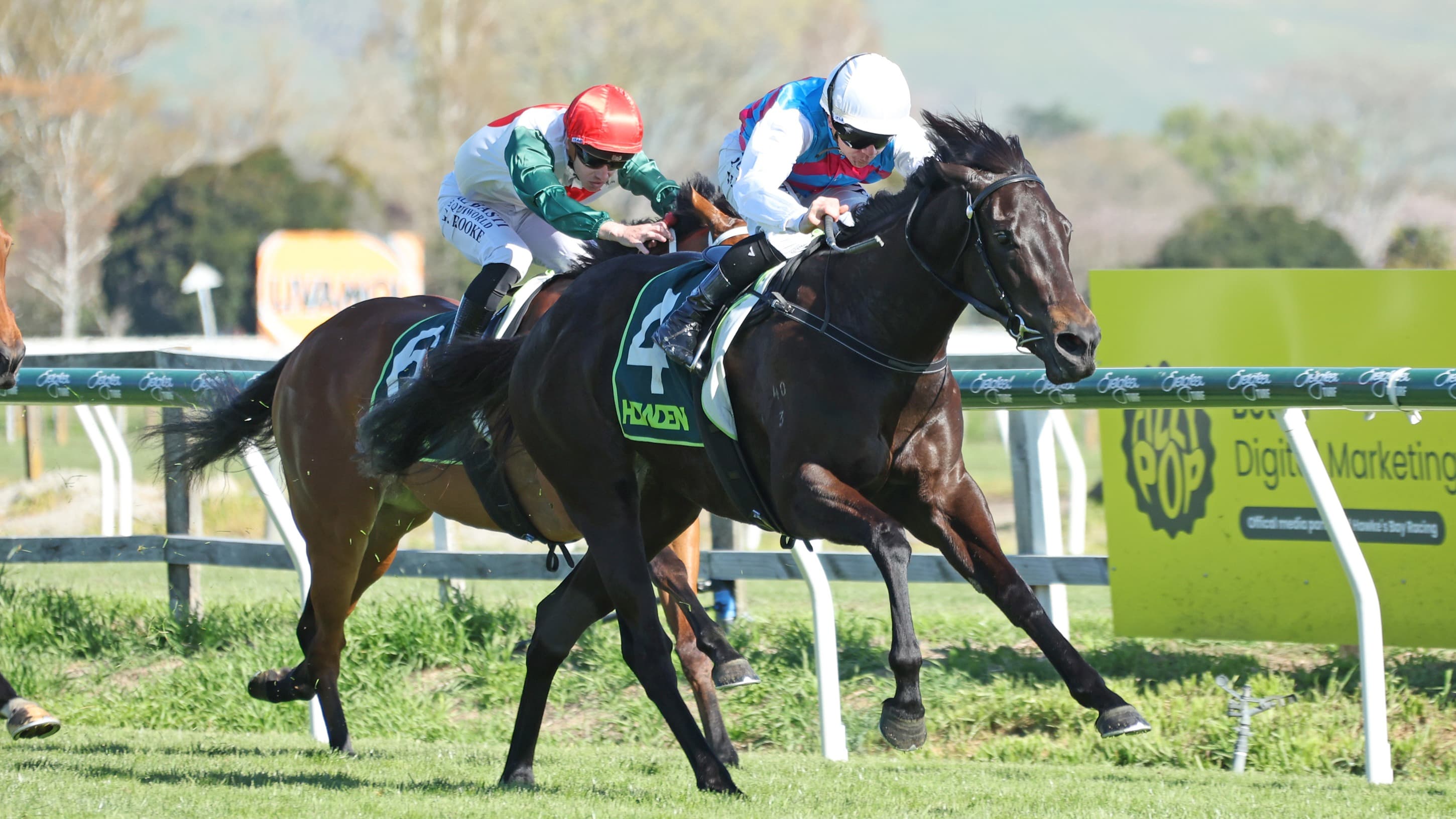 Hawea out of NZ 1000 Guineas