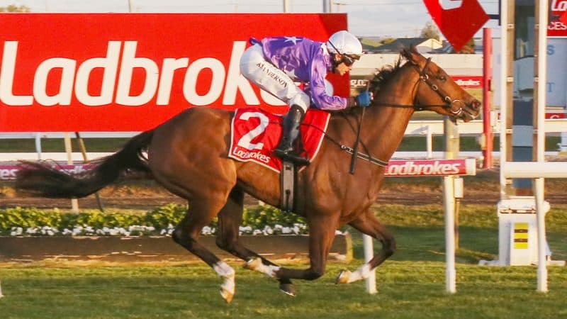 SENTrack: Tasracing’s Saturday best bets at Hobart (09/11)