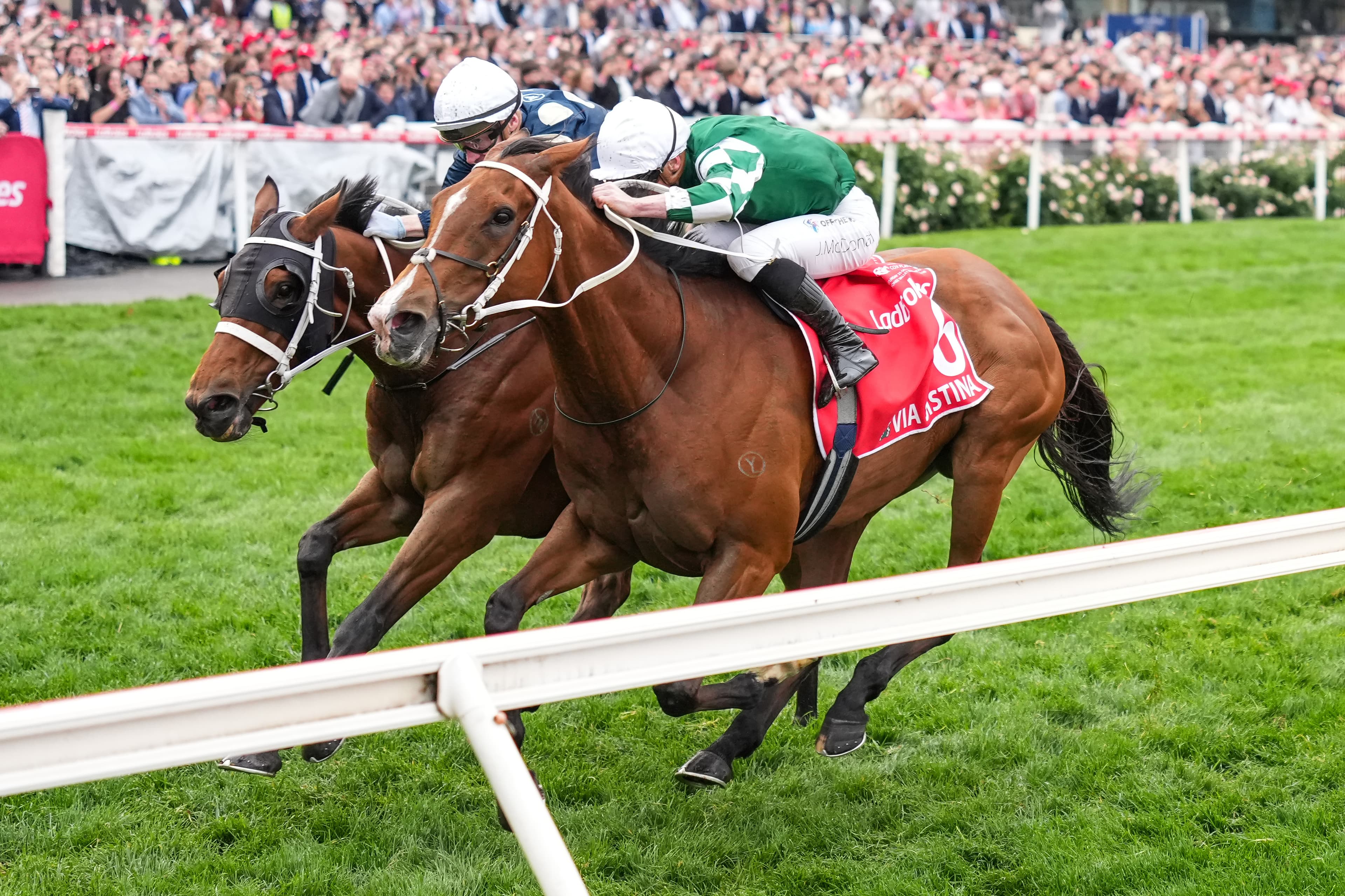 Via Sistina claims 'stirring' Cox Plate win
