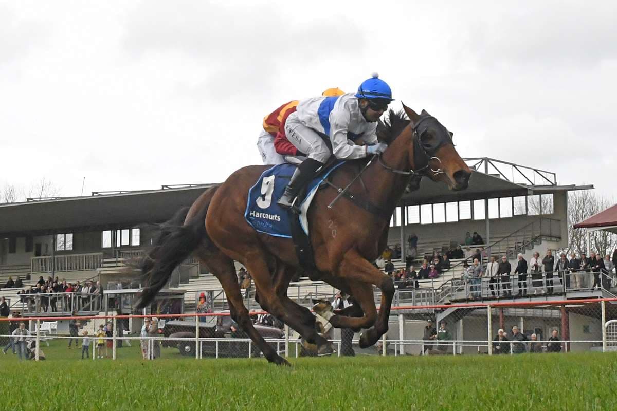 Spring campaigns taking shape for The Oaks Stud pair