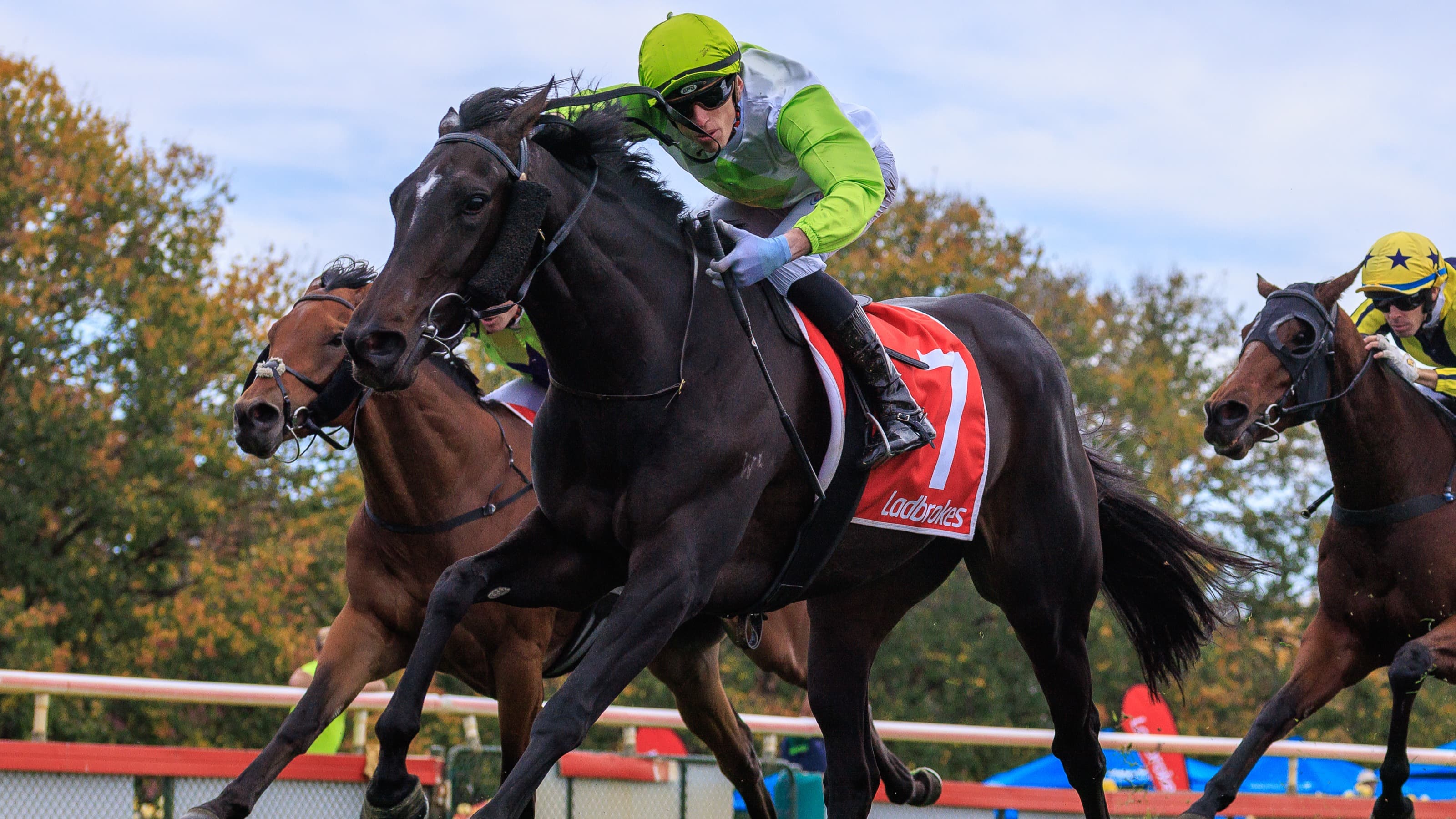 House Of Lords delivers at Bendigo