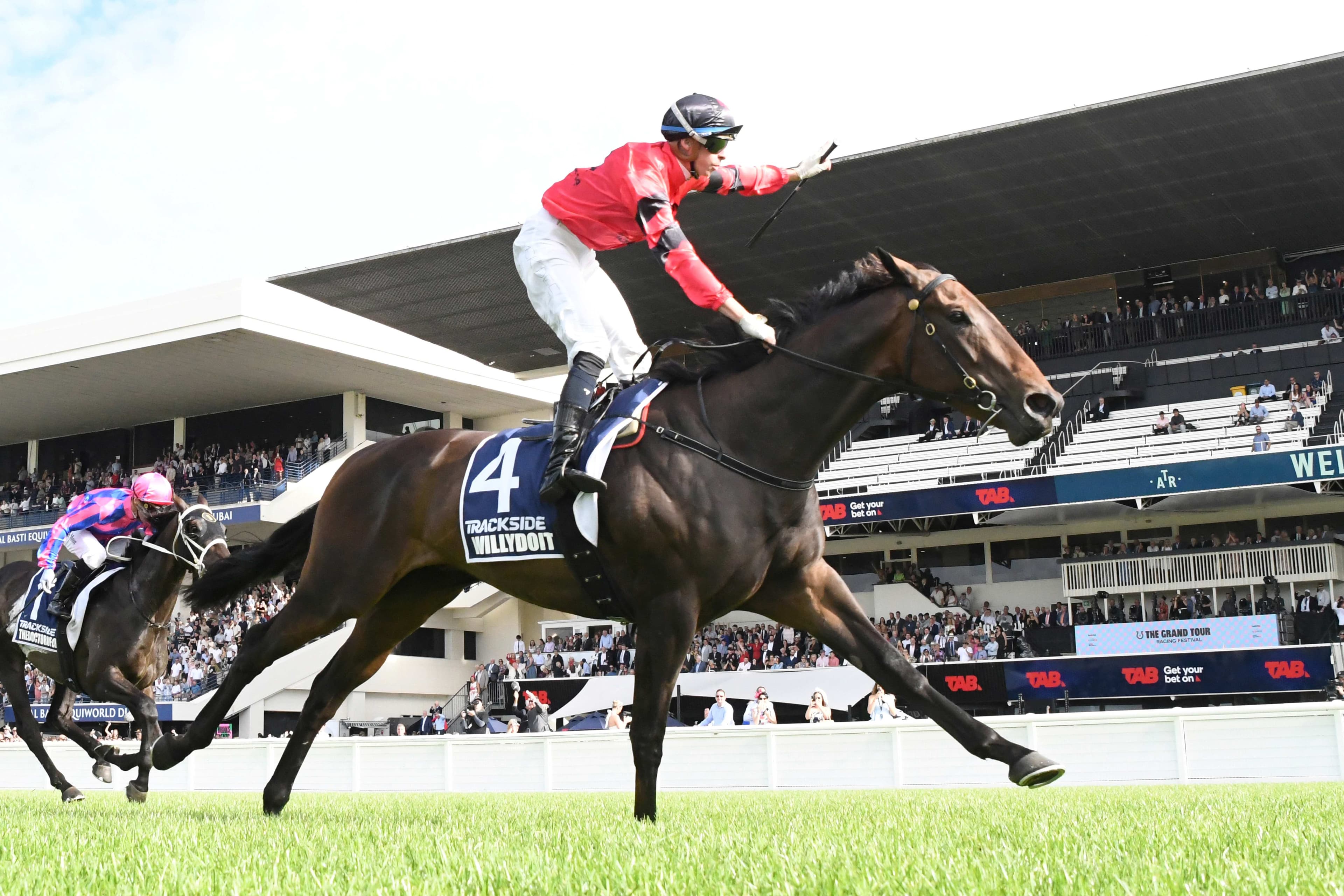 Willydoit on track for spring return