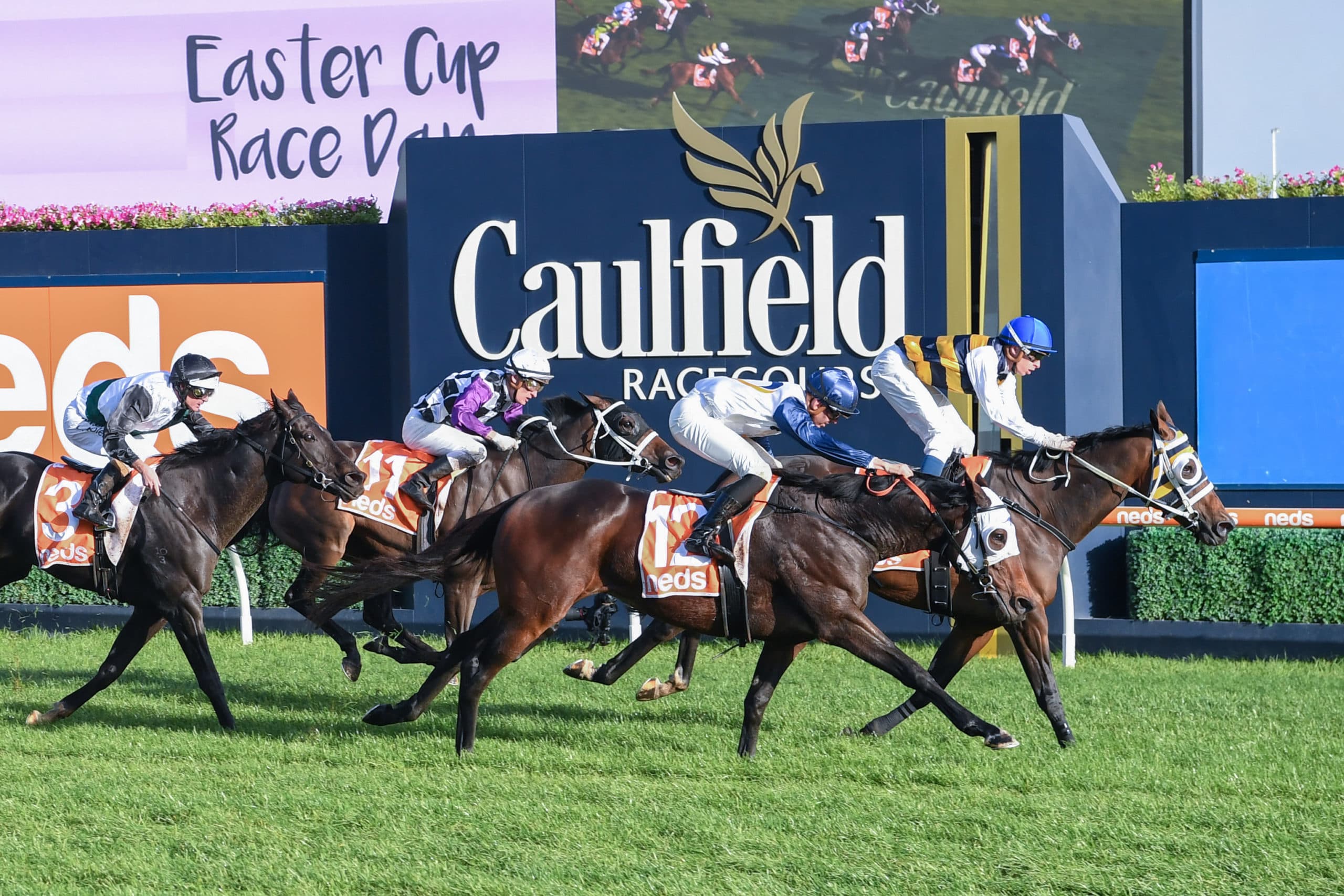 Your Guide to Everything Caulfield Races!