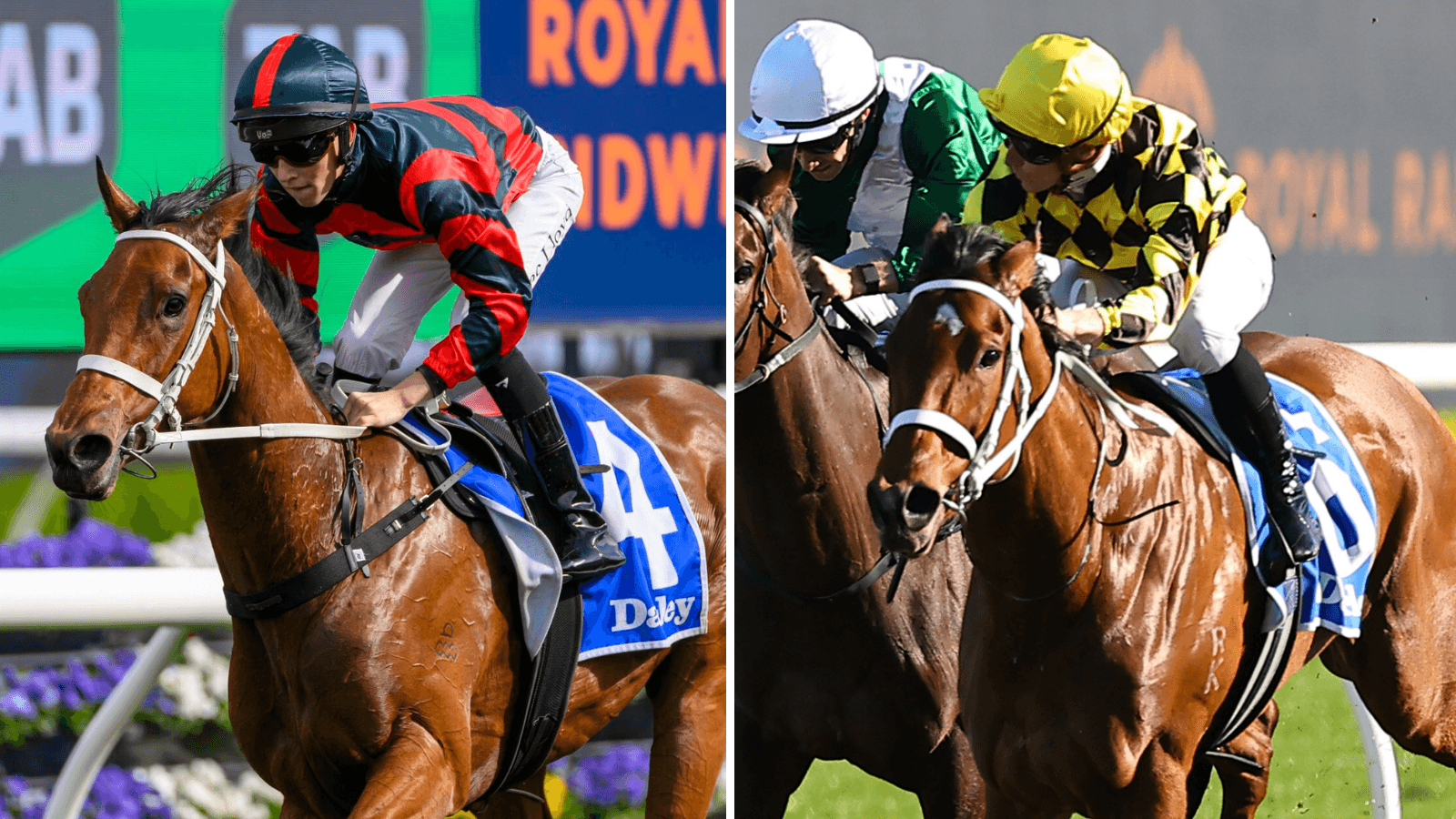 Form analyst’s massive call on Waller three-year-old