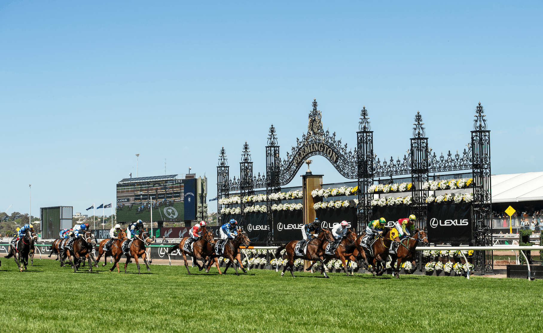 Melbourne Cup barrier draw and final field for 2025
