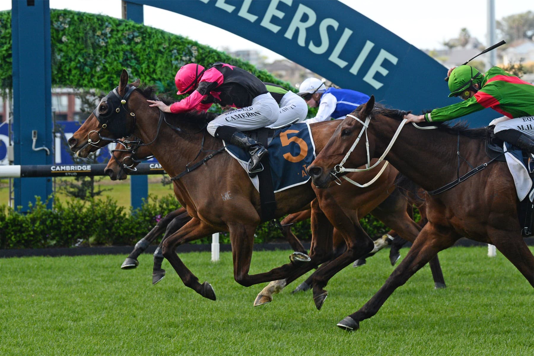 Diamond Jak delivers Ellerslie first