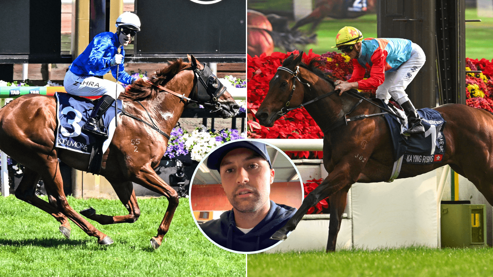 Tentyris vs Ka Ying Rising: Freedman calls for world's best sprint off