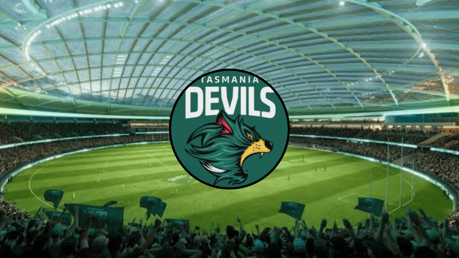 Gale: It would break my heart if Tassie stadium is not approved