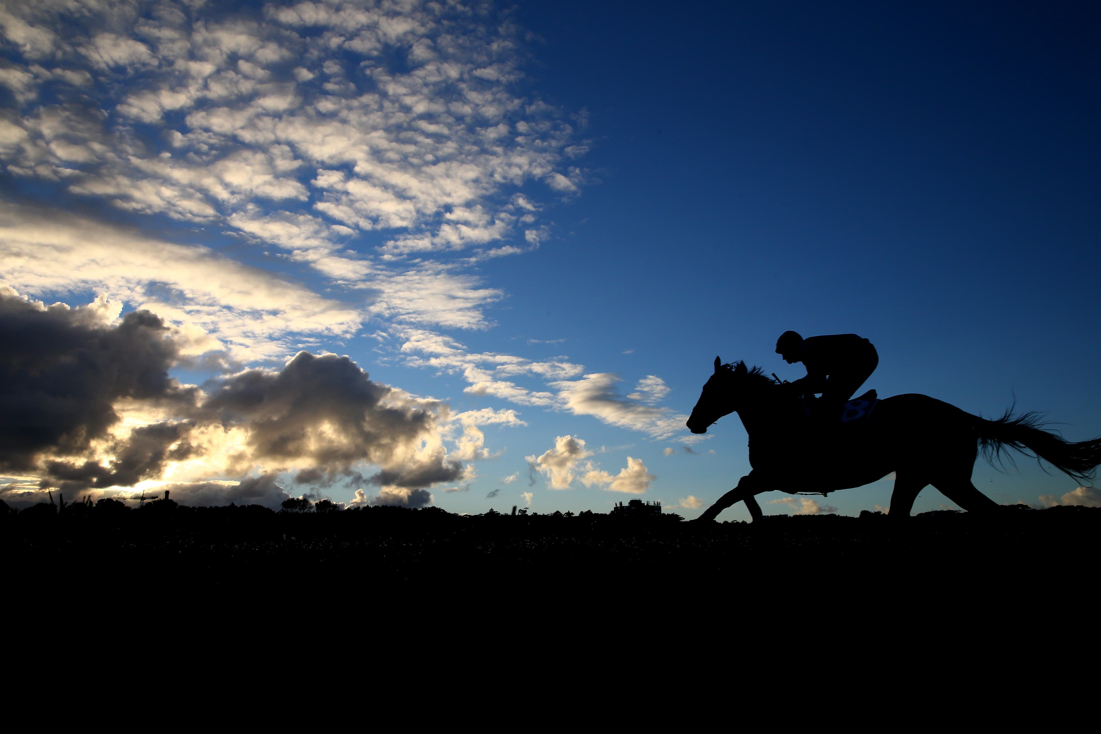 SEN, SENTrack boosts local coverage across the Darling Downs