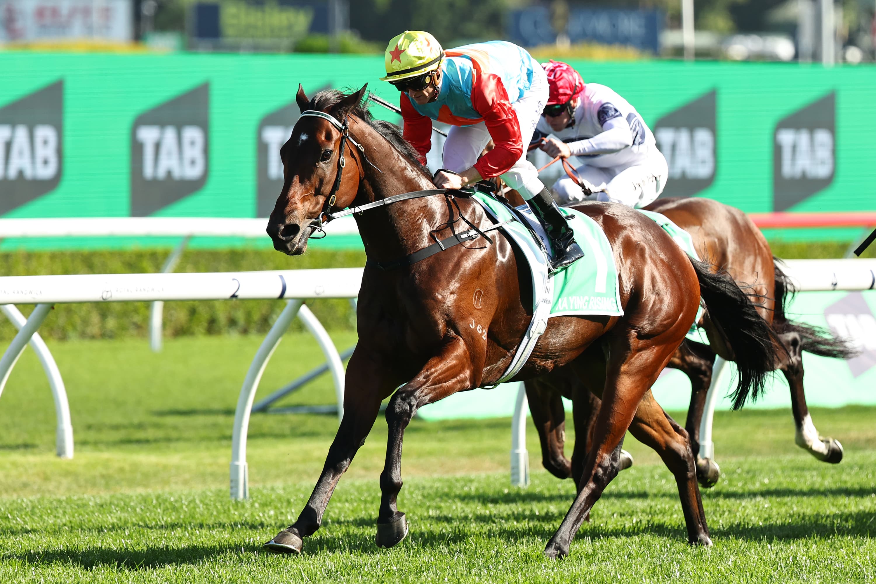 "Great spot": When Purton knew that Ka Ying Rising would win The Everest