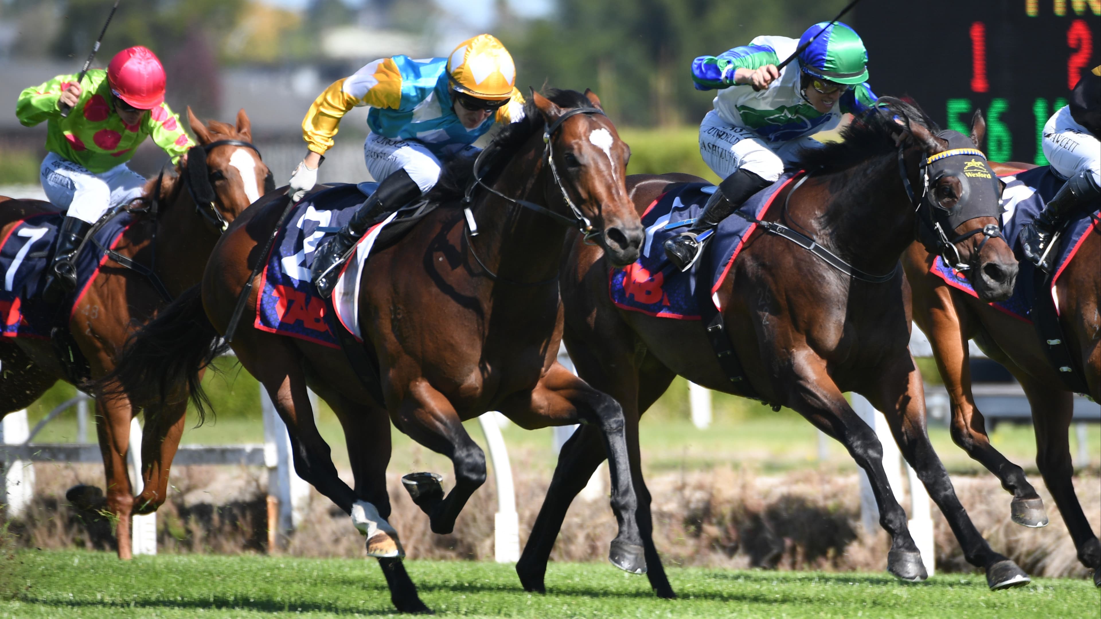 Further Ellerslie targets await Bulgari