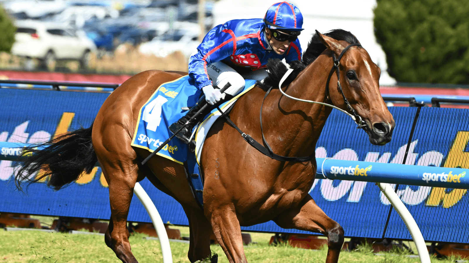 The Cox Plate intrigue around last-start G1 winner