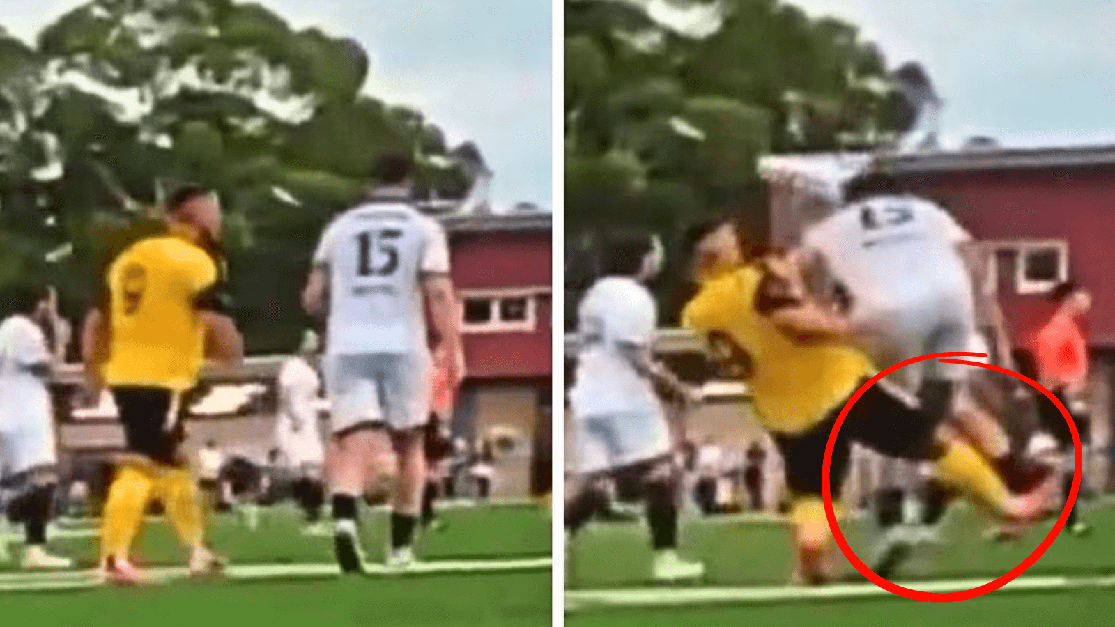 Bosnich calls for 12-month ban for NPL forward after "disgraceful" act