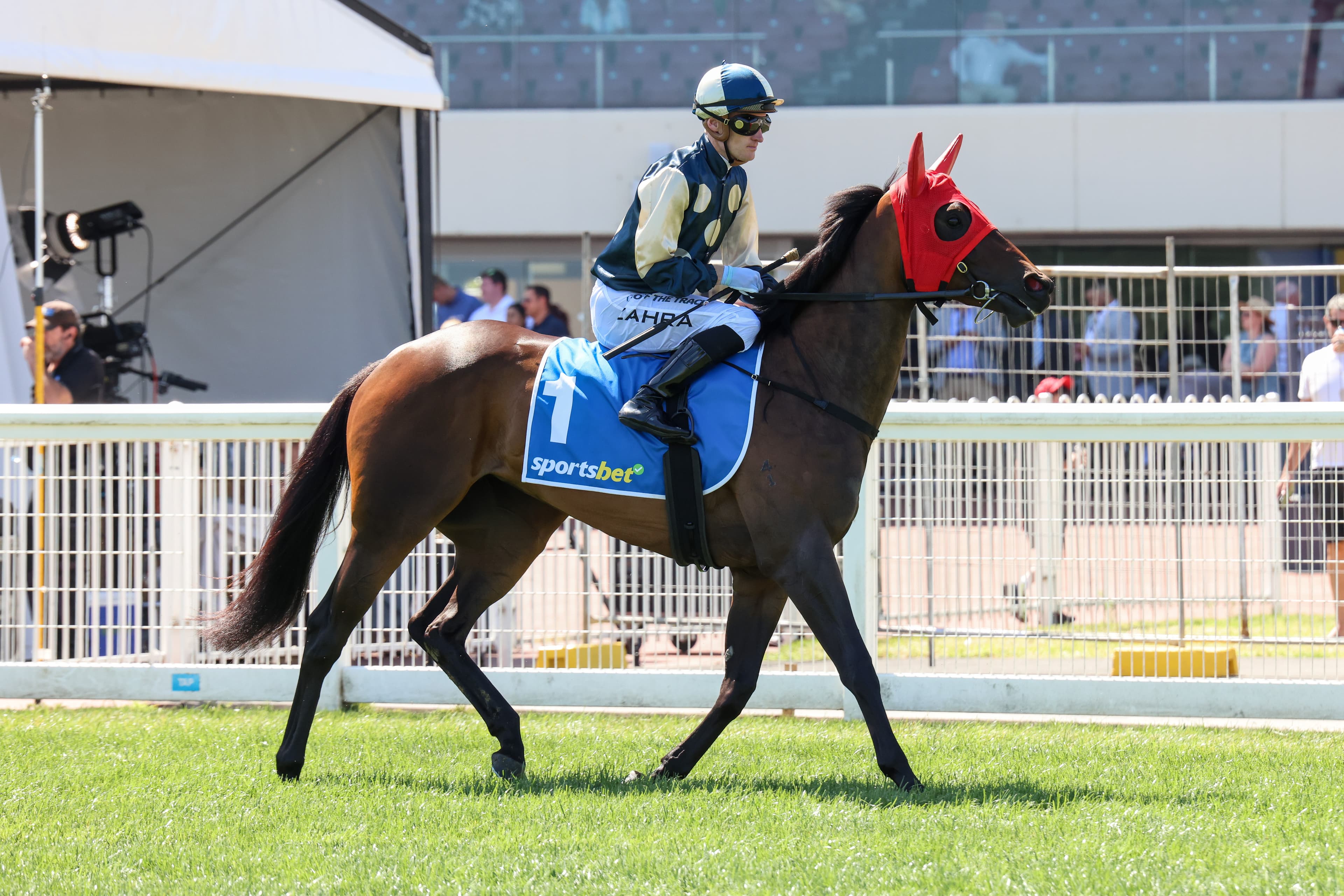 O’Neill’s two best runners at Flemington on Oaks Day and a tip from Hawkes in Sydney