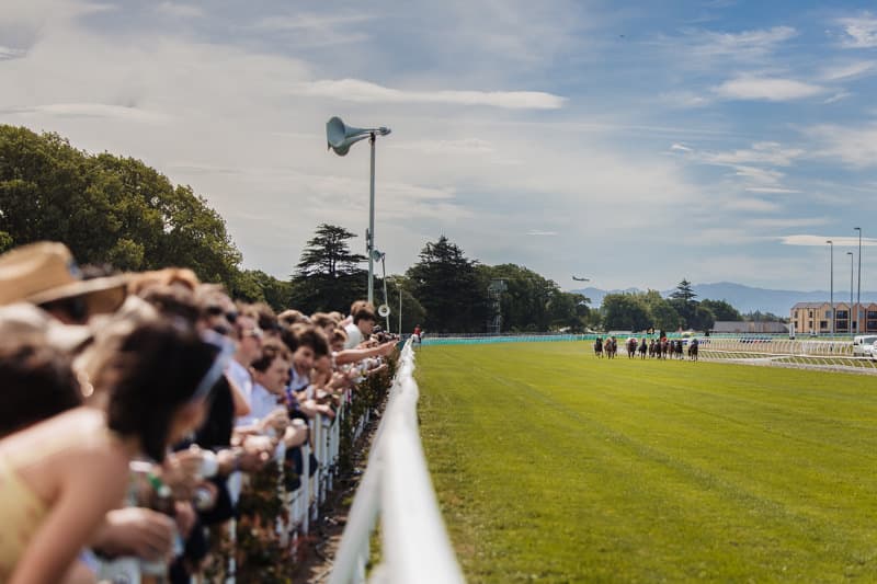 NZTR Releases 2026/27 Racing Calendar