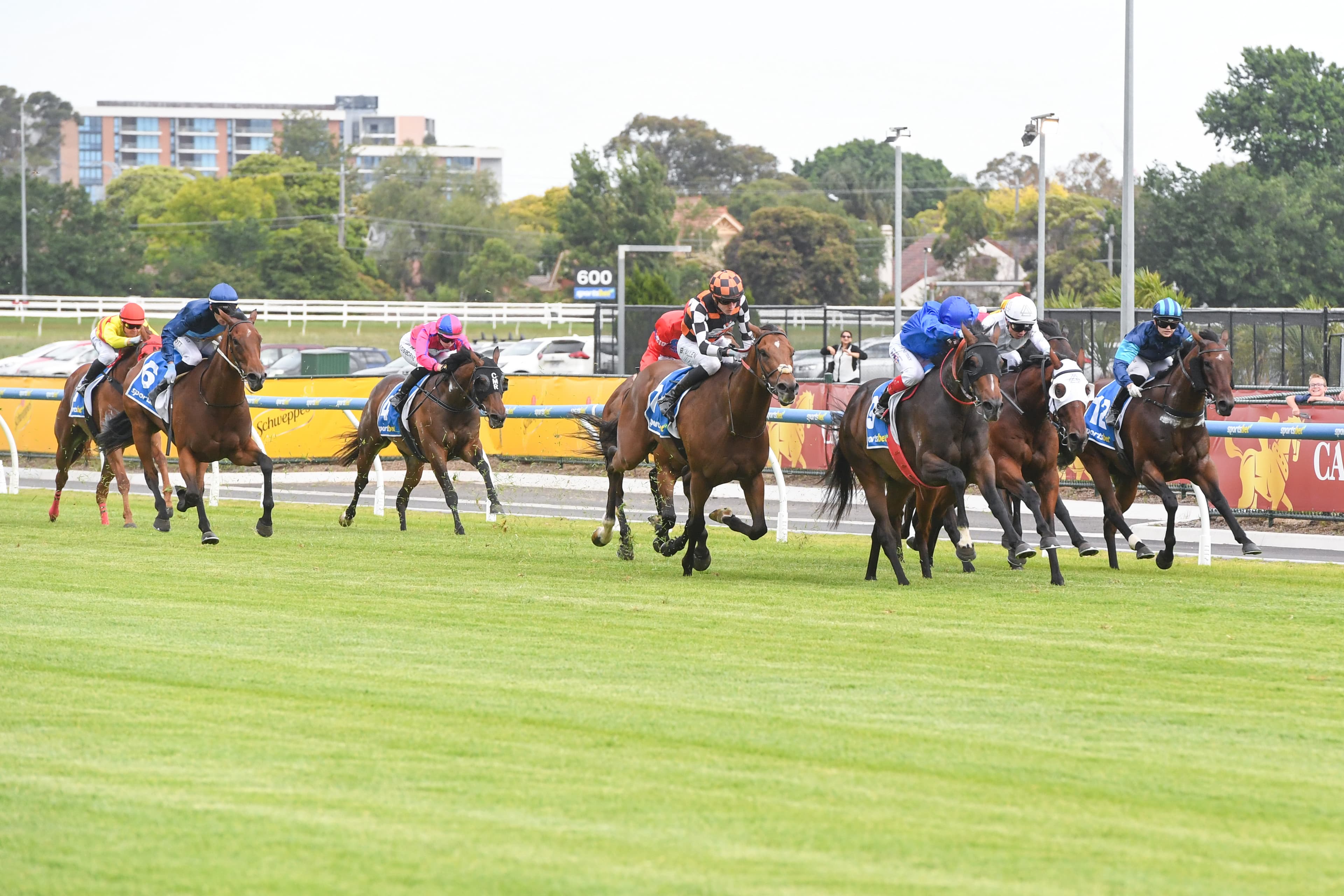 Wednesday best bets from Brown & Taggart (18/02)