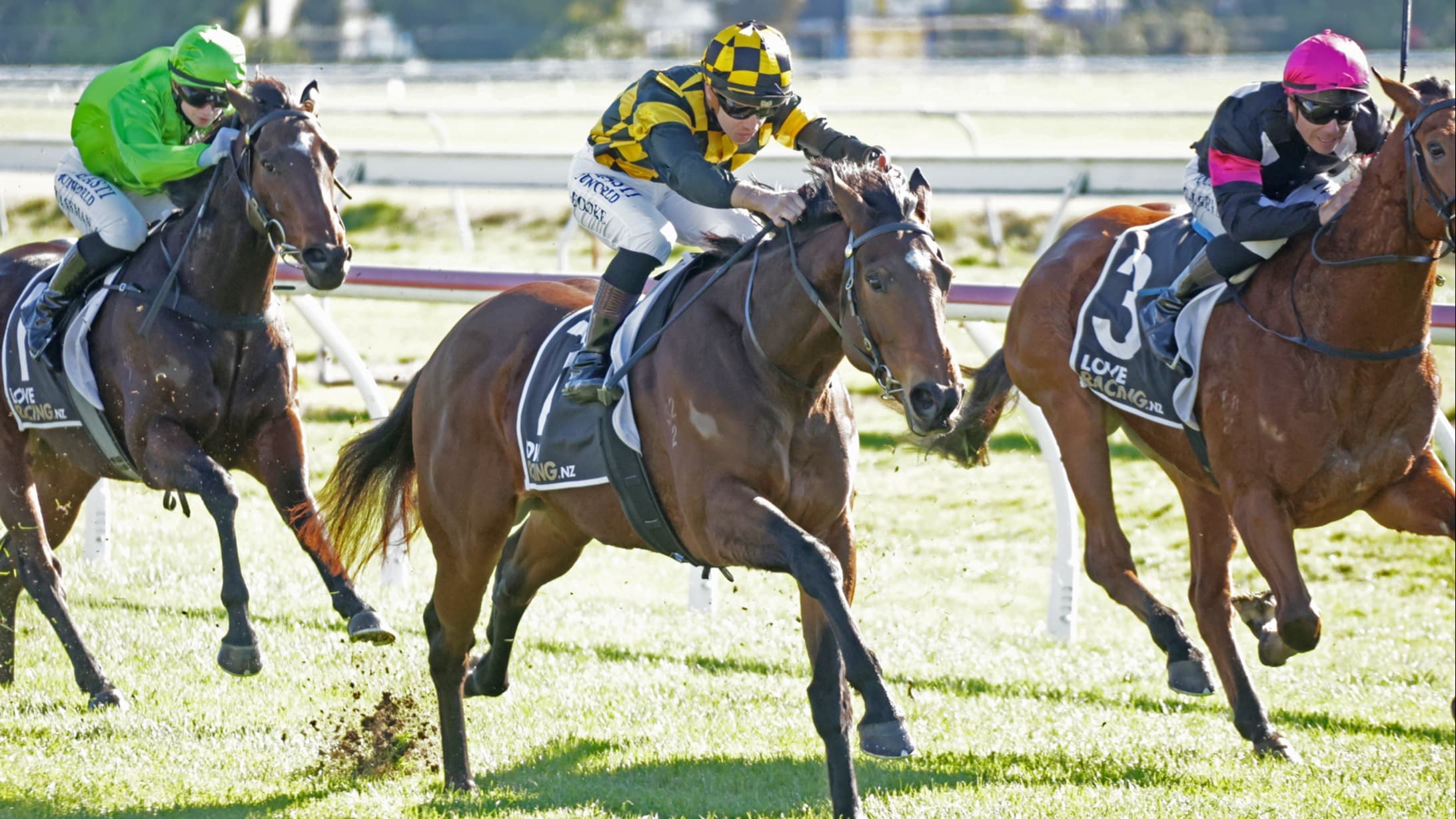 Well-bred filly delivers on debut