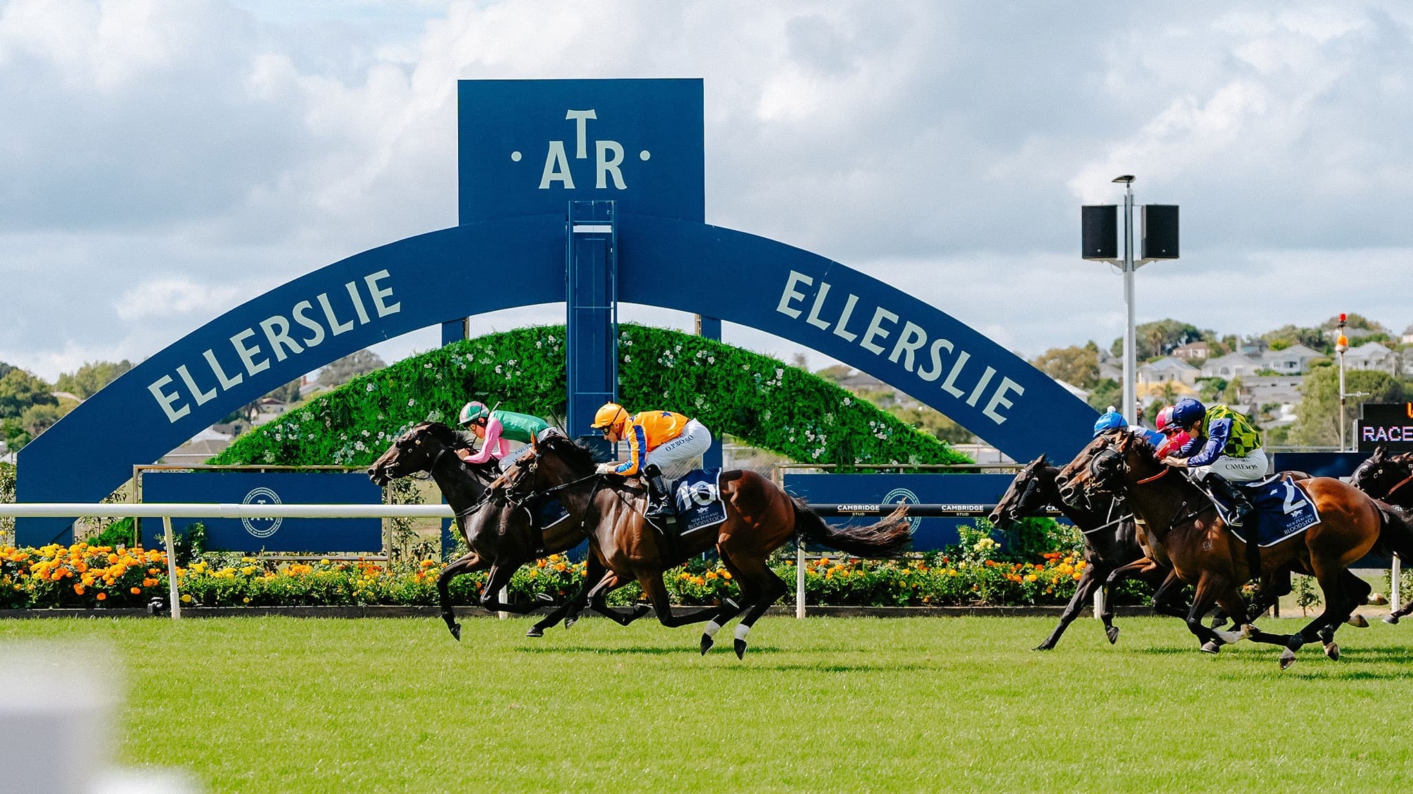 Project Stamina sets a clear path for the future of NZ racing infrastructure