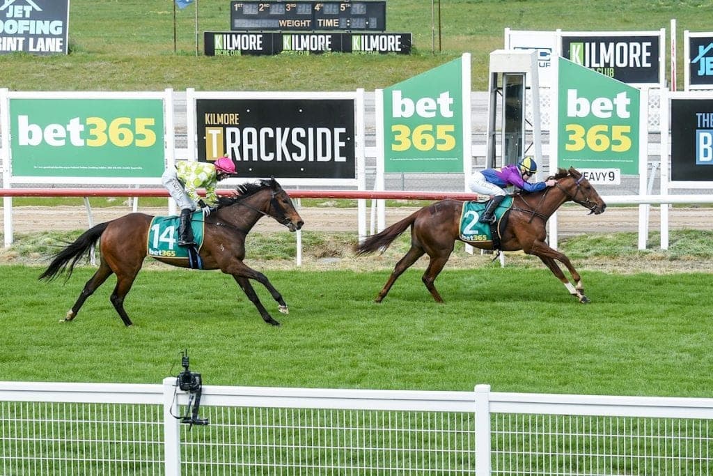 Friday best bets from Noonan & Hyland (31/10)