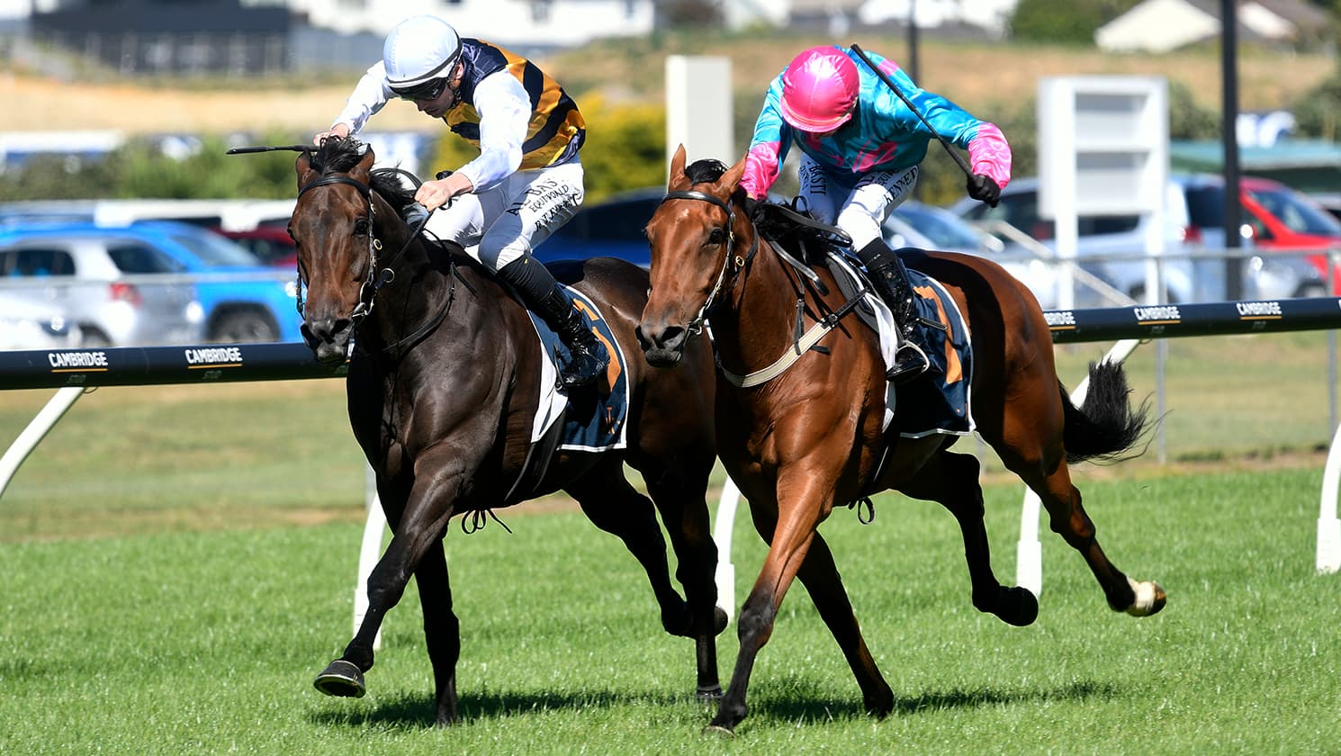 Mustang Morgan fresh-up into Derby