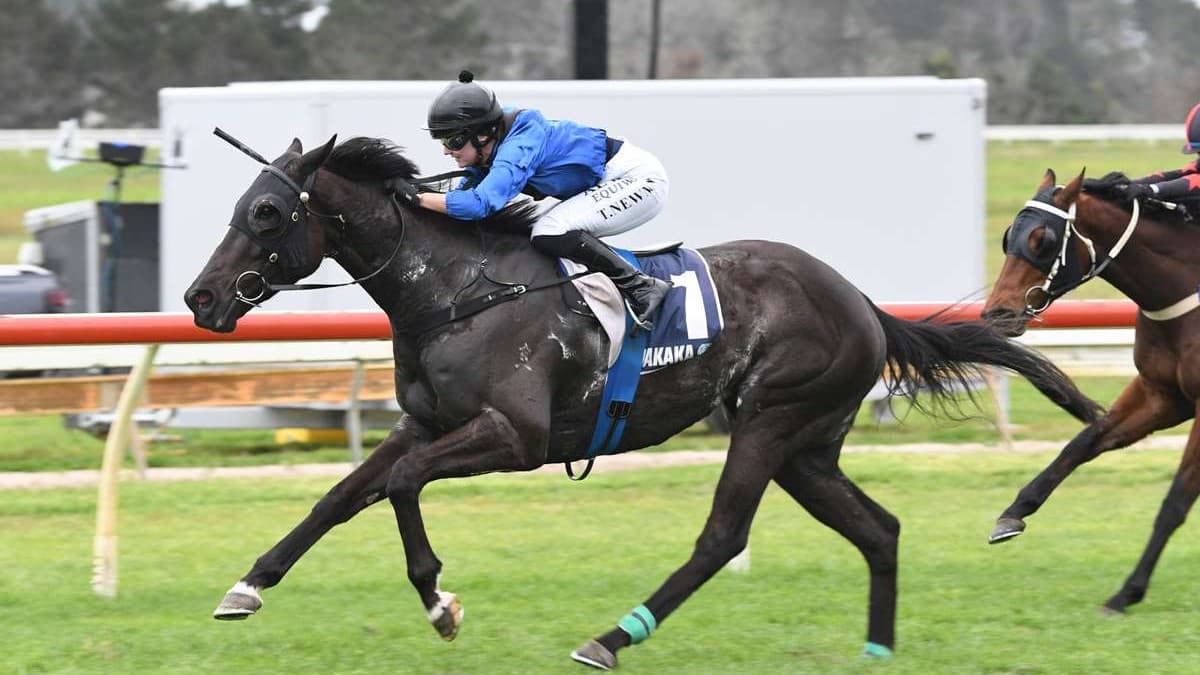 Chicflix seeking elusive win