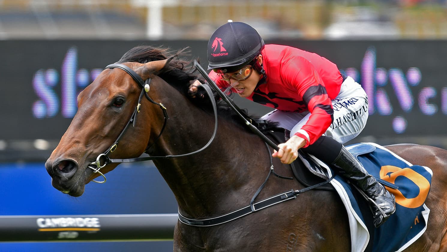 Derby mission continues for Clotworthys