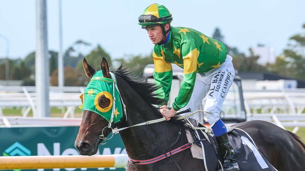 Wellington Cup tilt in the offing for Mayor Of Norwood