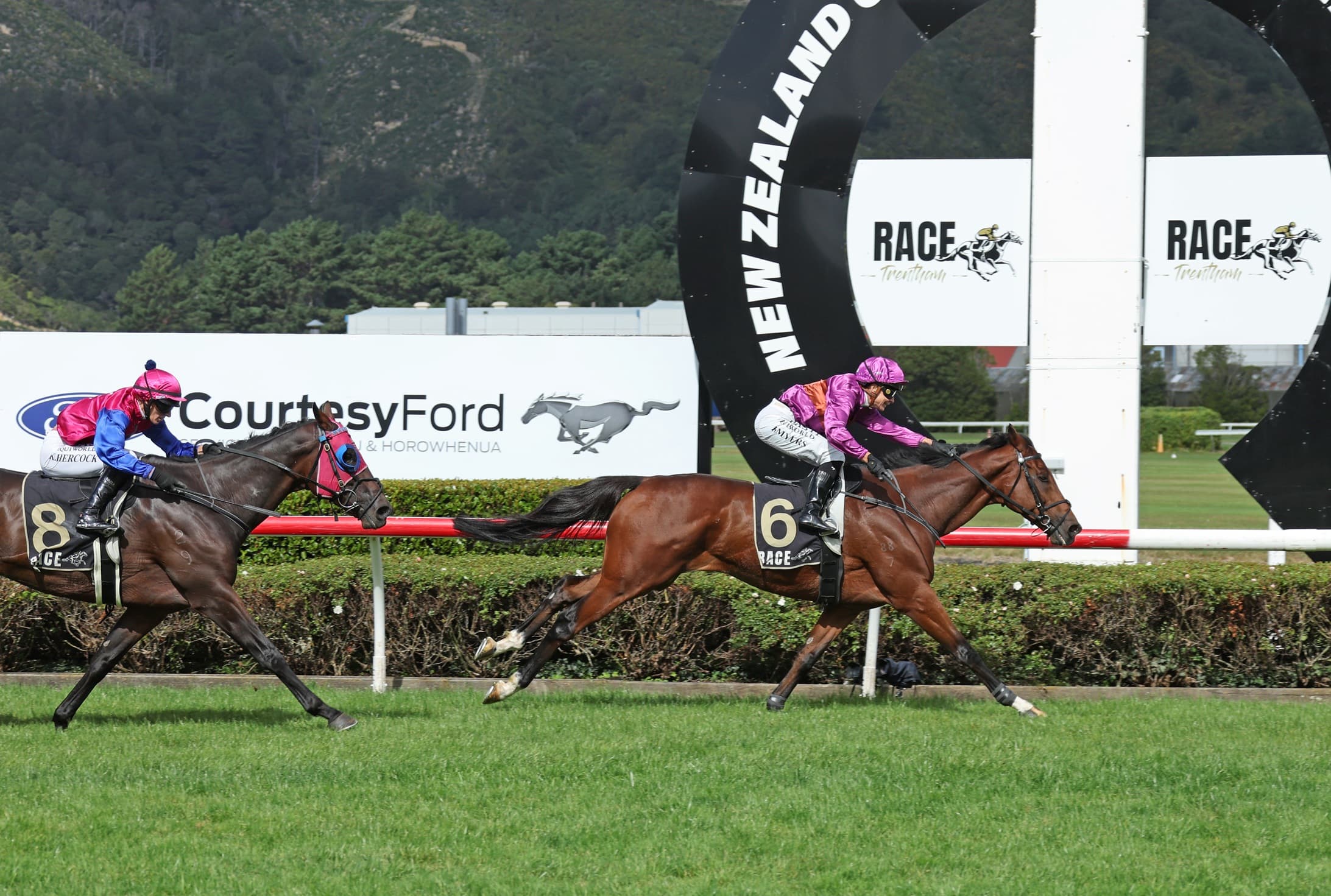 He’s A Doozy recaptures his best form at Trentham