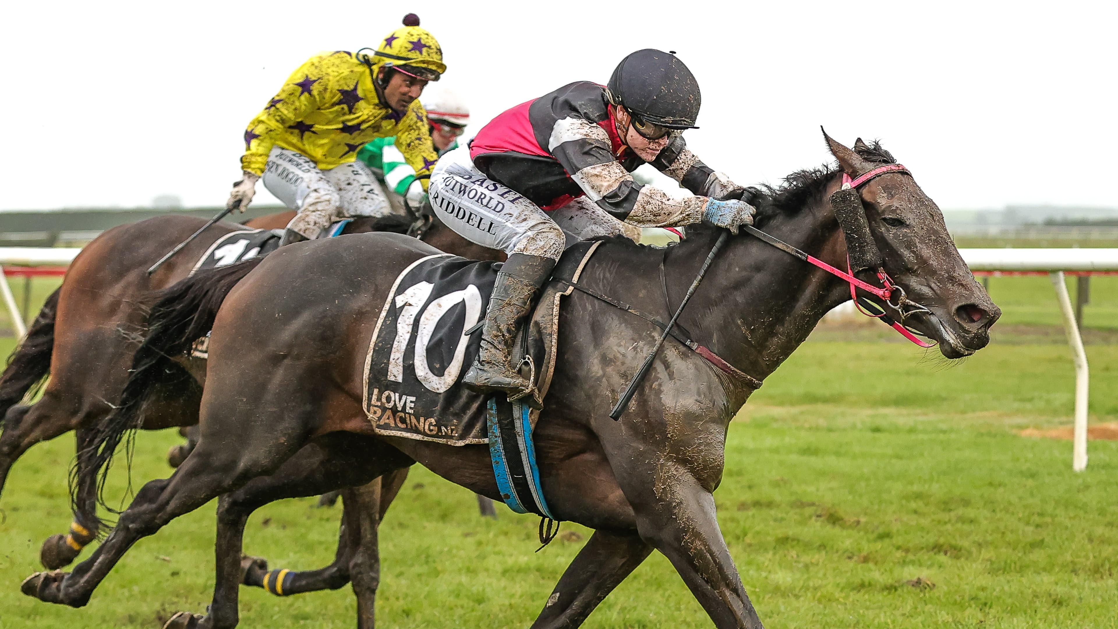 Wyndham Cup victory a Sight To See