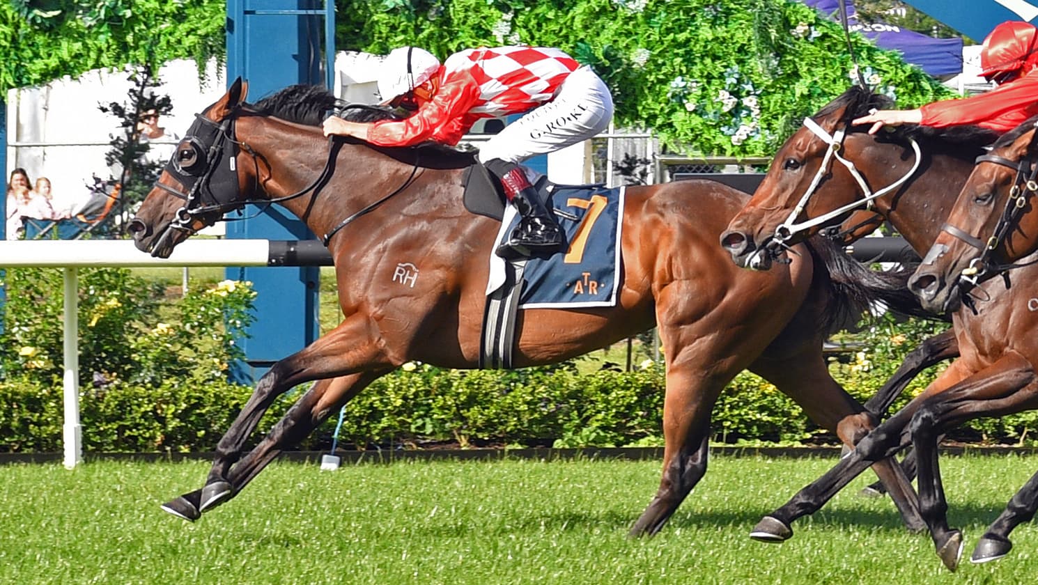 Hasstobeawinner earns Group Two tilt