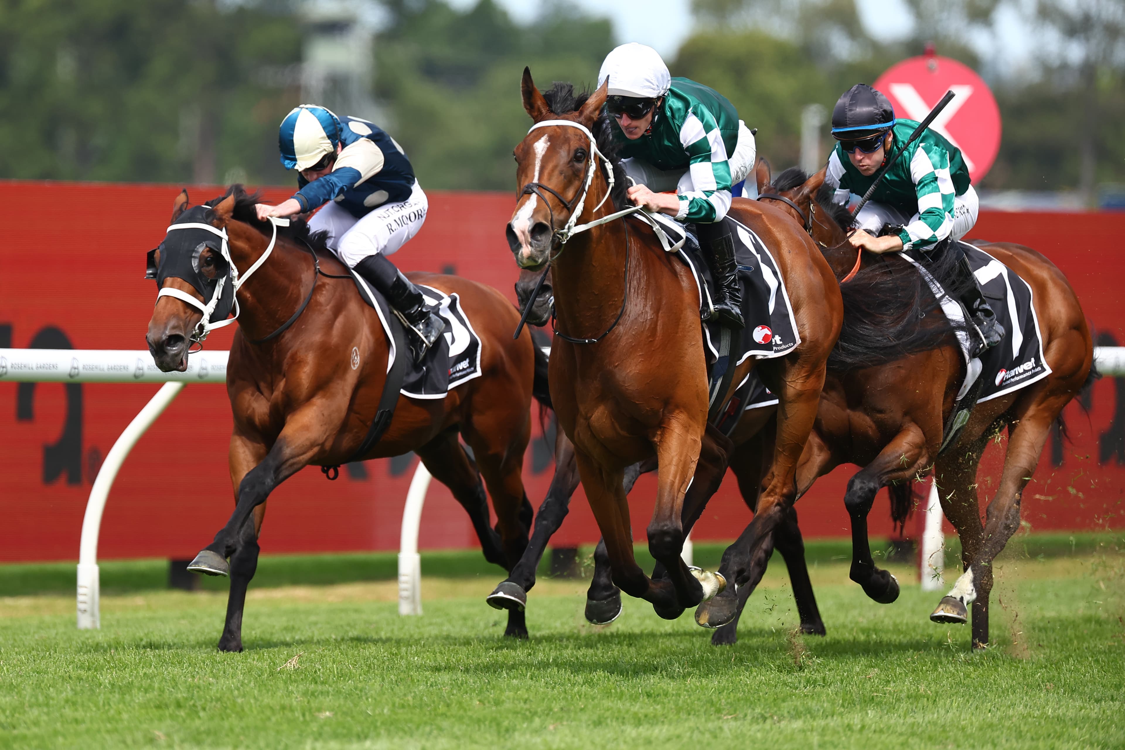 Why leading form analyst is happy to be against the Melbourne Cup equal favourite