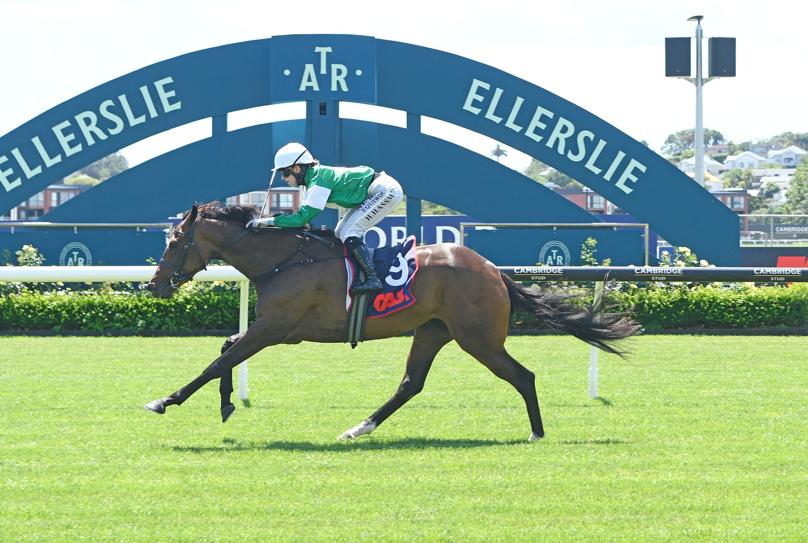 King hoping to continue sparkling form at Ellerslie