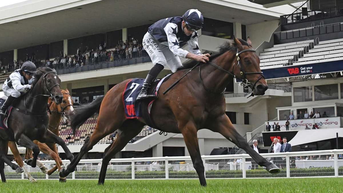 Wynyard chasing more Karaka riches