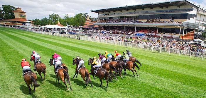 Is Jokers Grin calling out for 1400m?