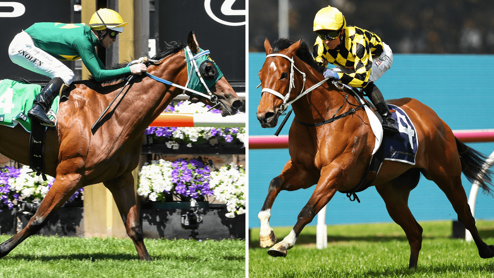 Autumn Glow vs Sheza Alibi? J-Mac fascinated by future clash