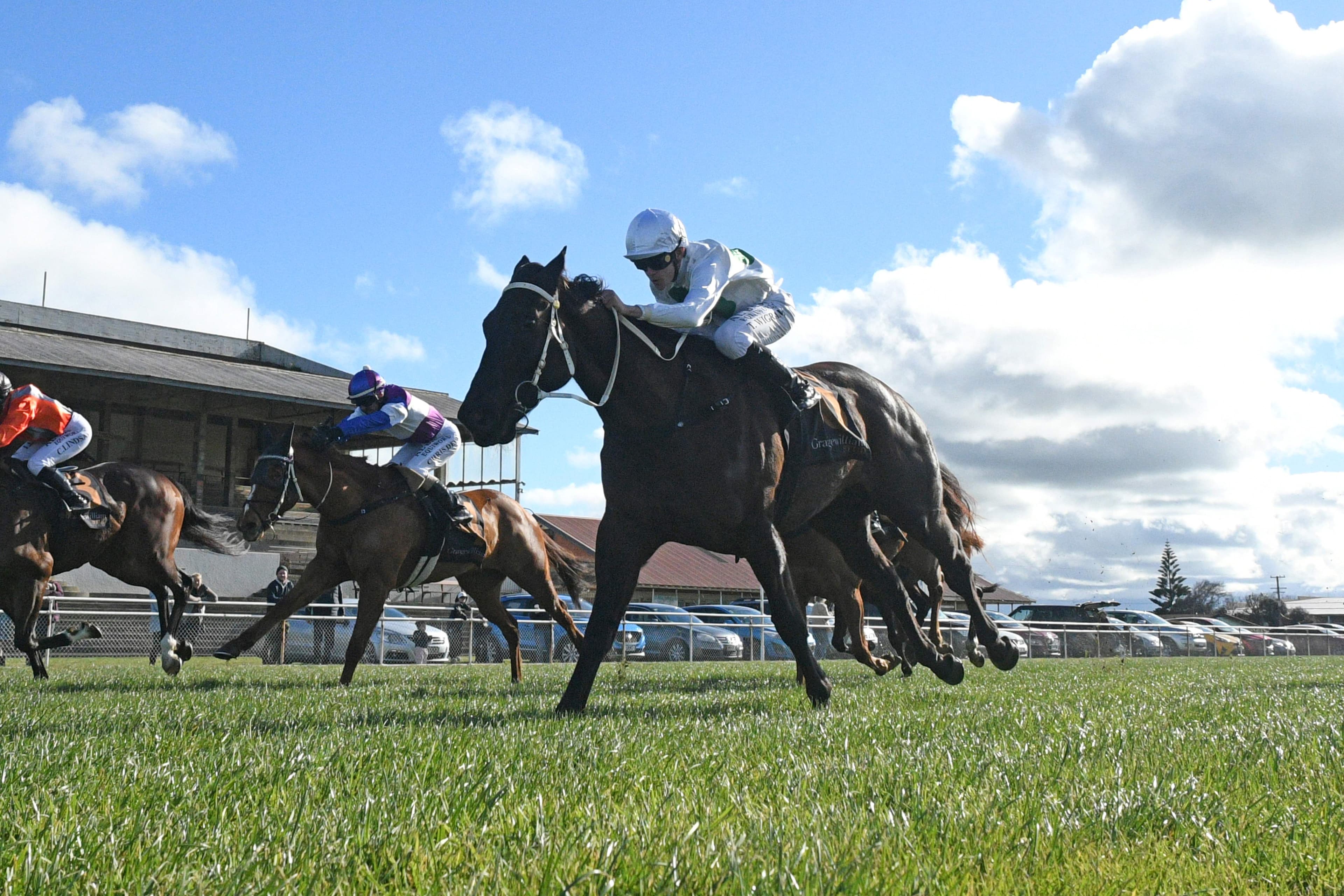 Gordon chasing stakes success with Gavelhouse pair