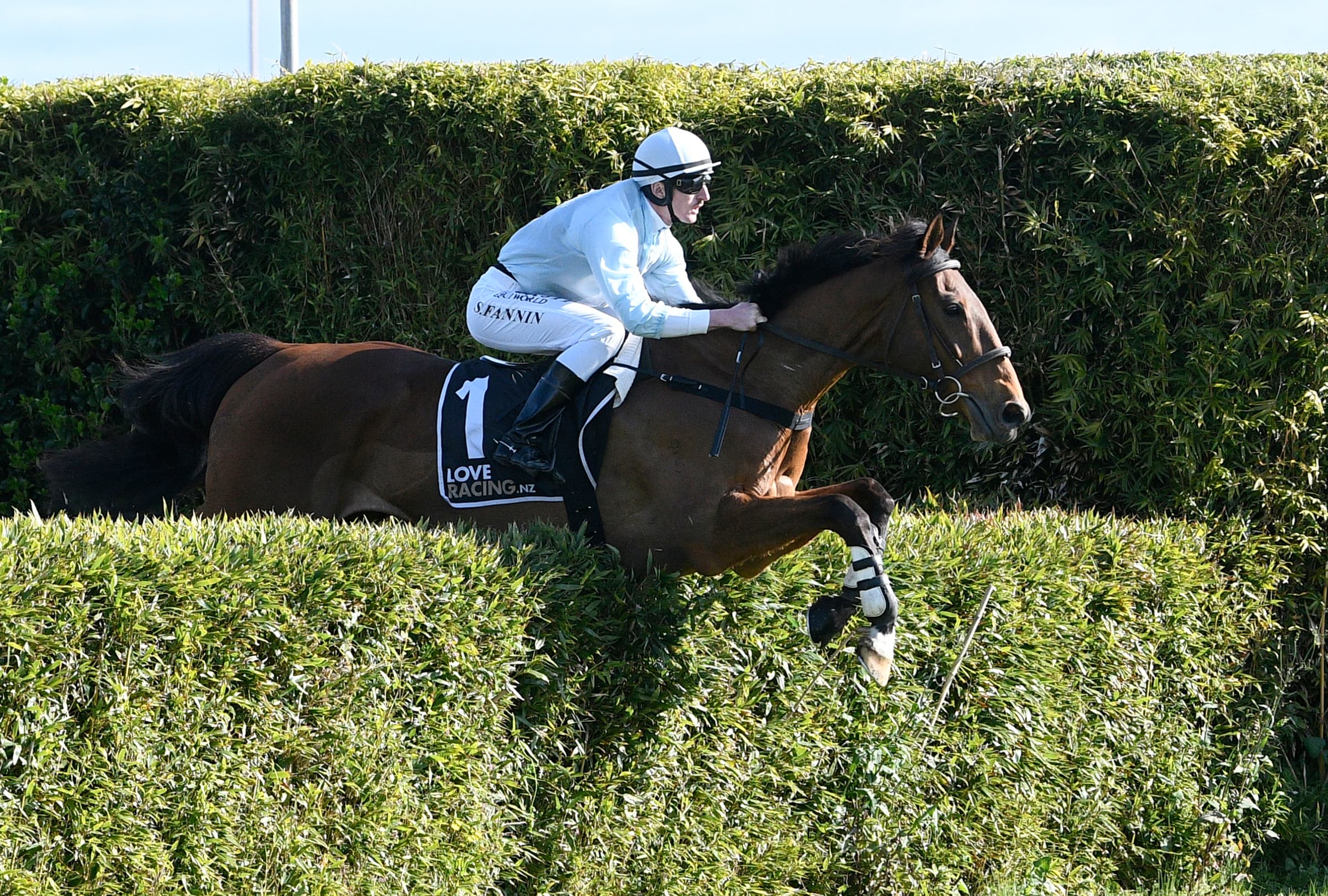 West Coast to kick-off jumping season at Te Rapa