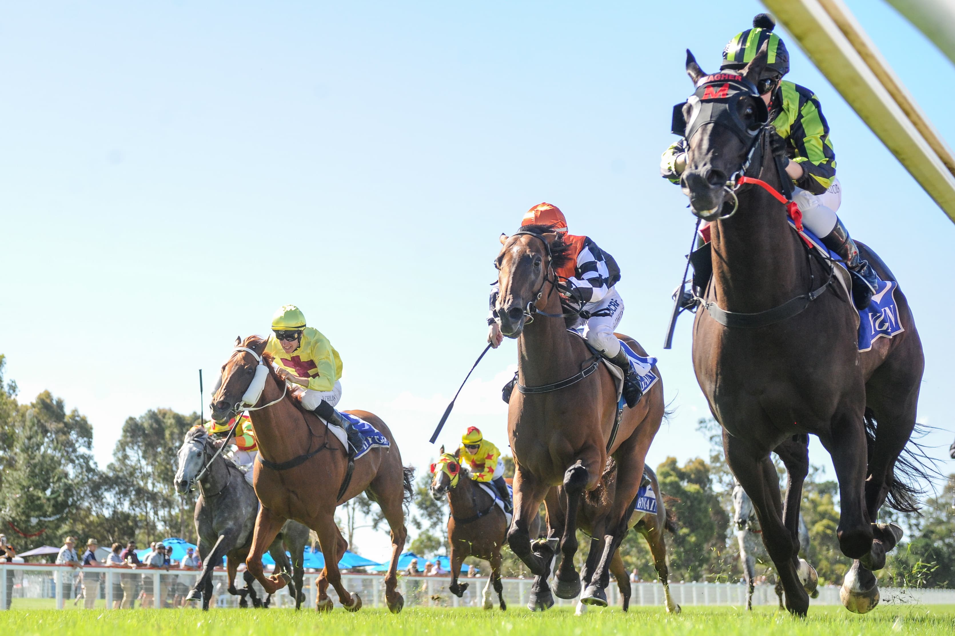 Sunday best bets from David Taggart (31/08)