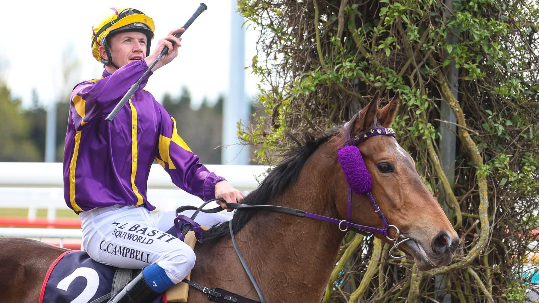 Alottago leading southern charge in 2000 Guineas