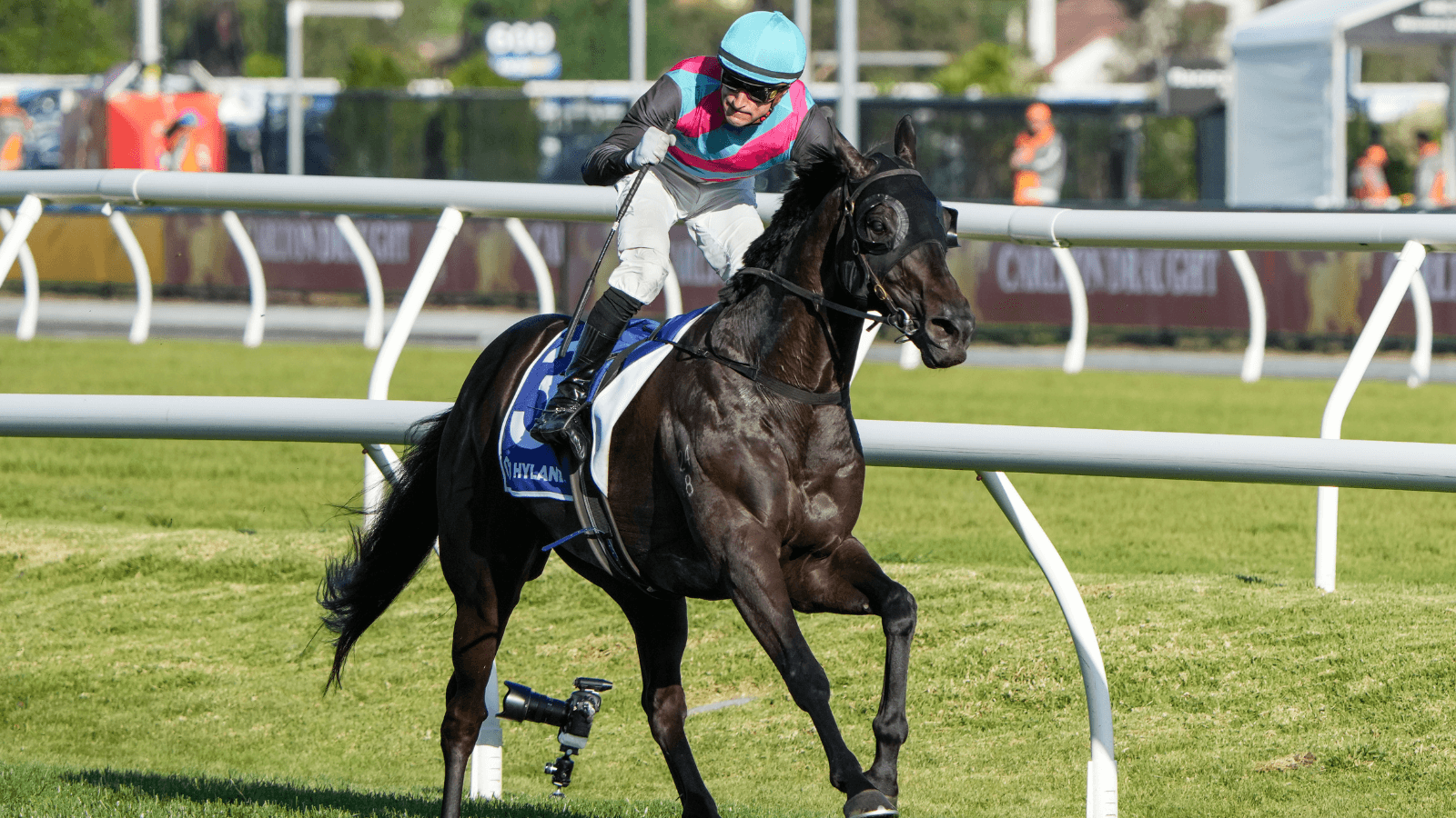 Antino Leads the Charge on Ladbrokes Cox Plate Raceday at Doomben