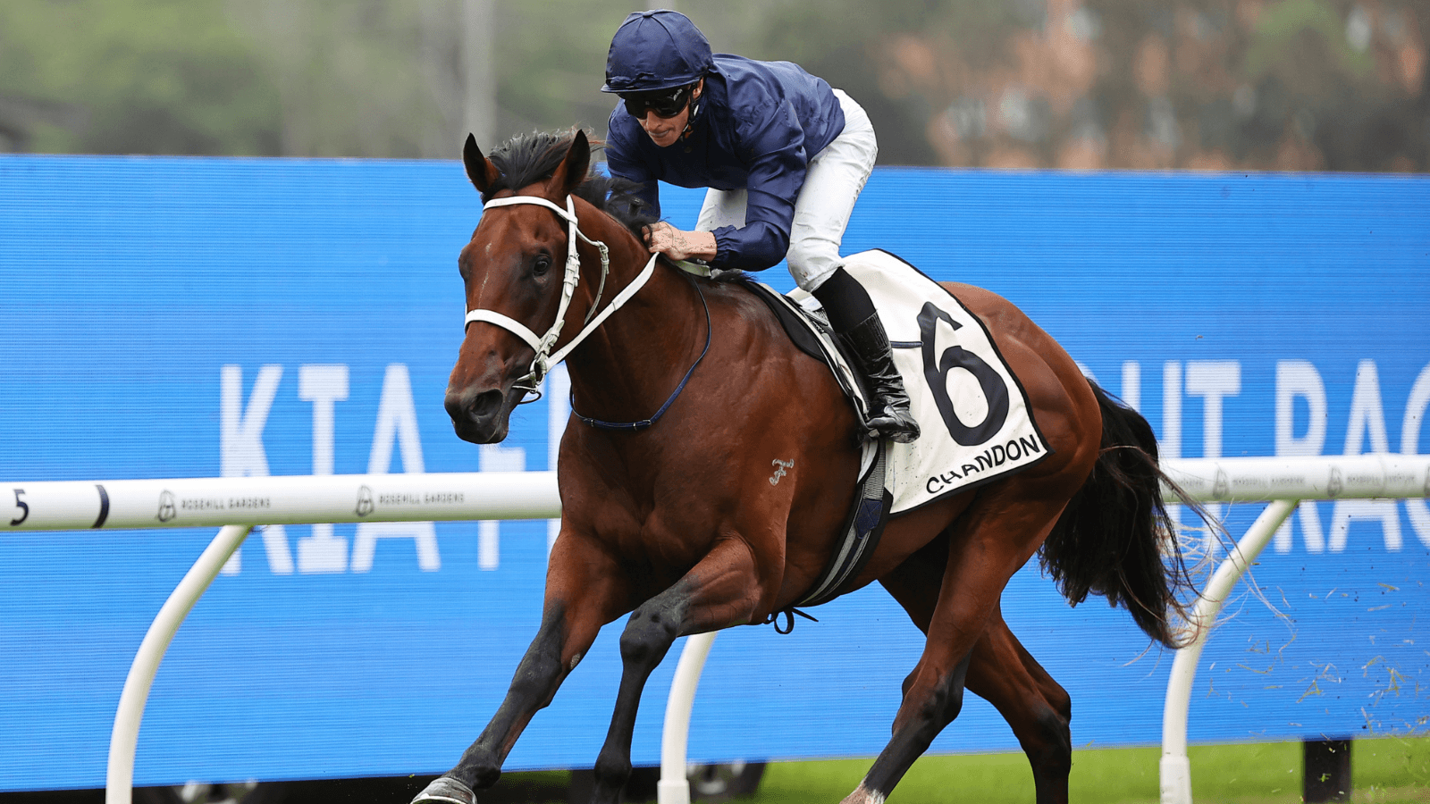 J-Mac: Don’t “bet against” Chris Waller in Caulfield Guineas