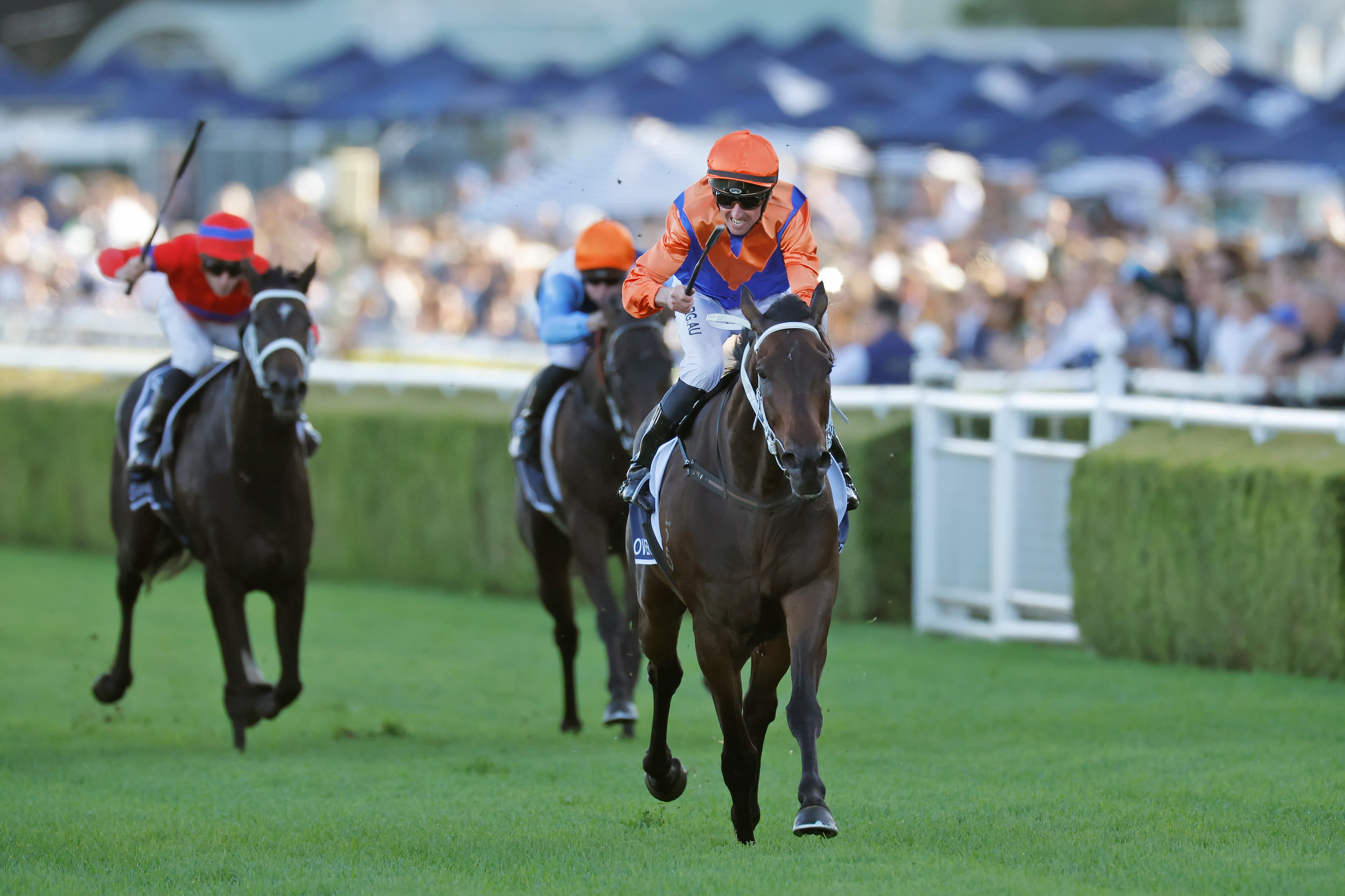 “The Cox Plate of the autumn”: Why Gareth Hall thinks this showdown will be the best of the carnival