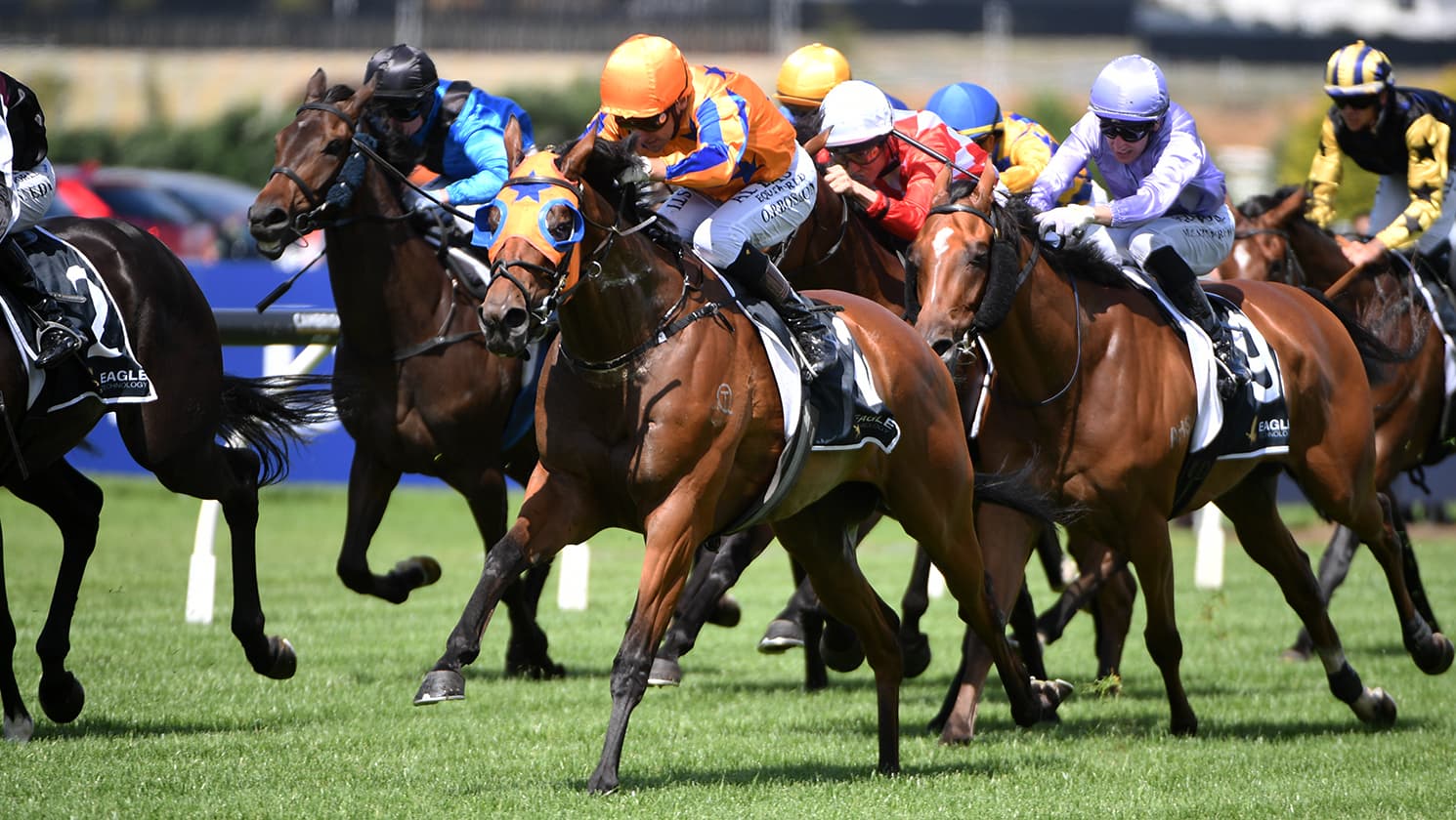 Te Akau set their sights on NZ Derby with exciting three-year-old