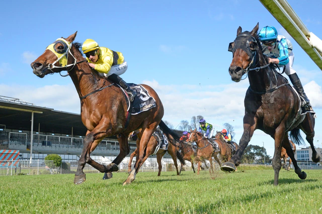 Familiar road ahead for talented gelding at Te Rapa