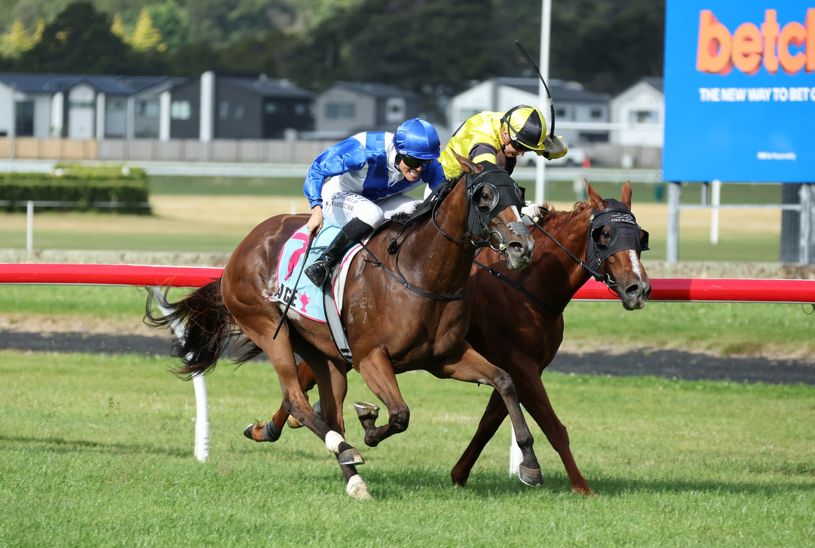 Archaic Smile delivers in Flying Handicap