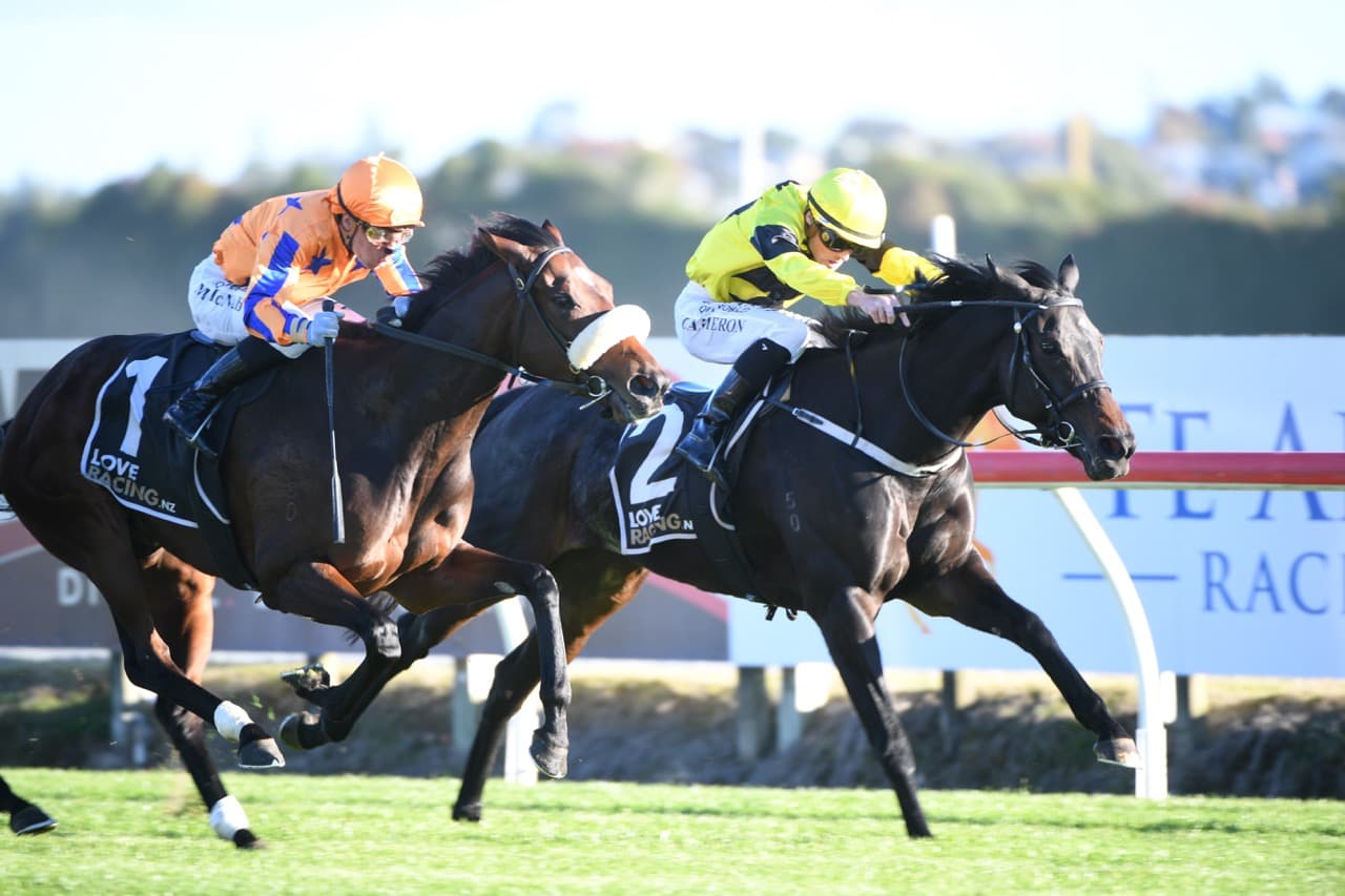 Trainer in no rush with quality mare