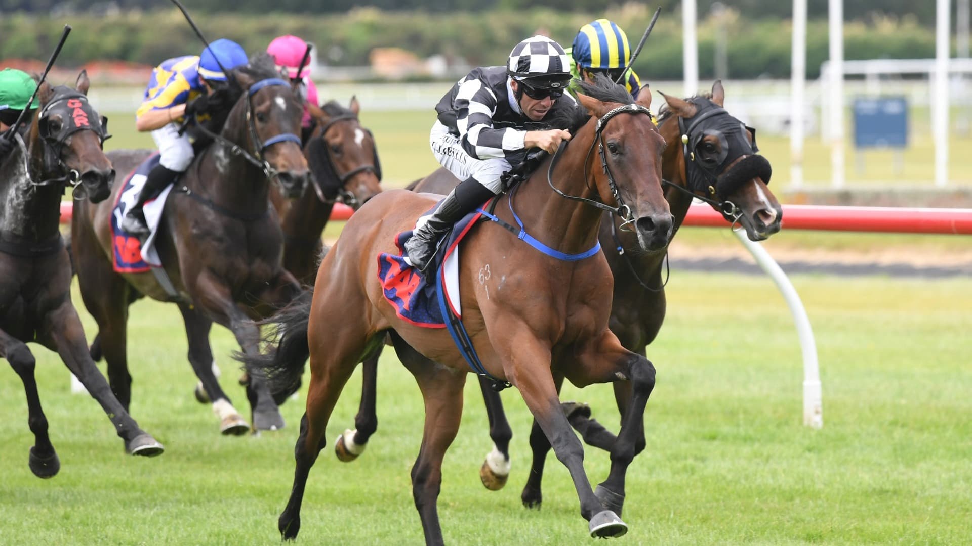 No fuss for Komocean at Trentham