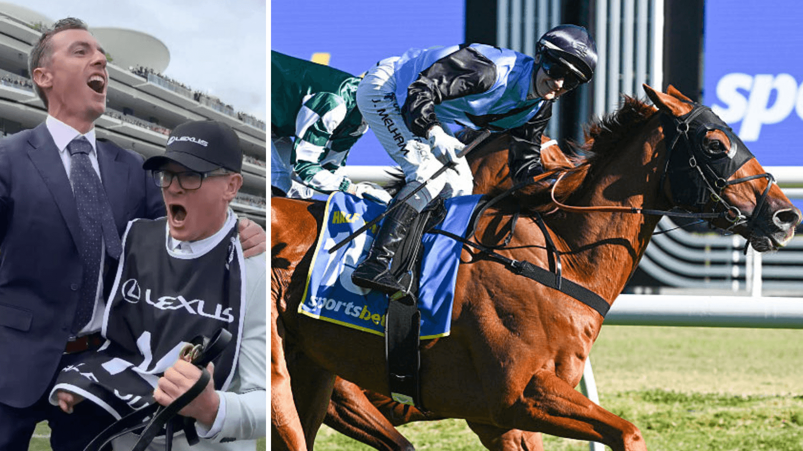 From the trots to Melbourne Cup glory as Half Yours' strapper